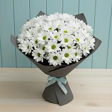 Букет цветов из:  Хризантемы #REPLACE_PRED# Петровское