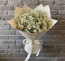 Букет цветов из:  Ромашки #REPLACE_PRED# Петровское