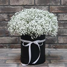Цветочная композиция из Гипсофила в шляпной коробке в Петровское